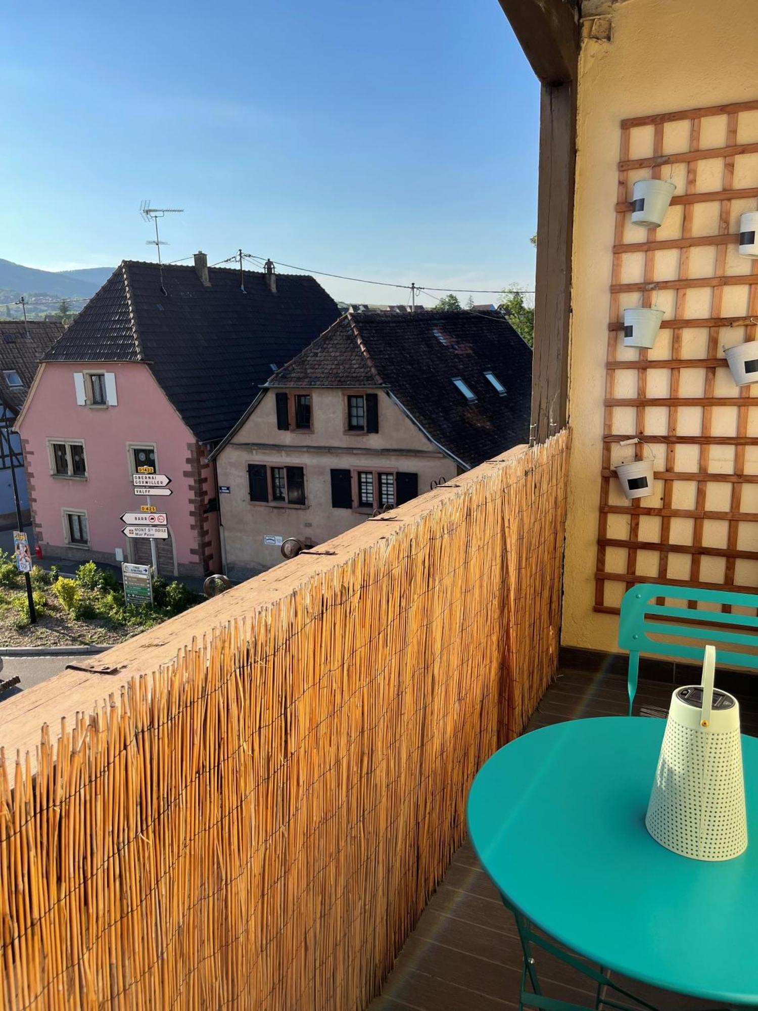 Appartement Centre Alsace Gertwiller Zewnętrze zdjęcie