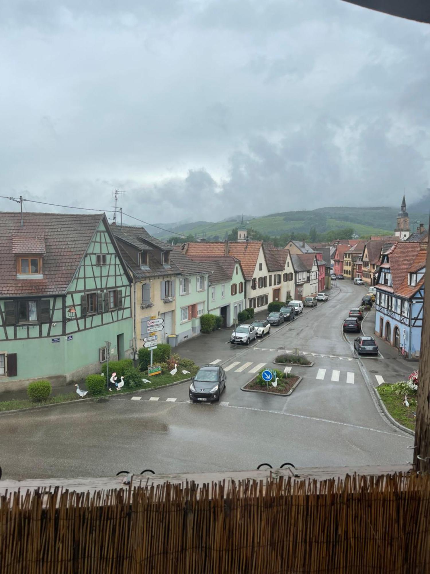 Appartement Centre Alsace Gertwiller Zewnętrze zdjęcie
